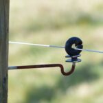 Keeping Your Livestock Safe with Non-Traditional Fencing