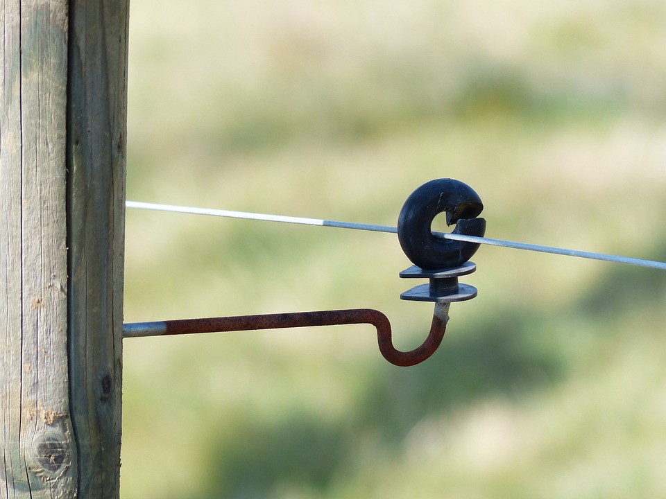 Keeping Your Livestock Safe with Non-Traditional Fencing