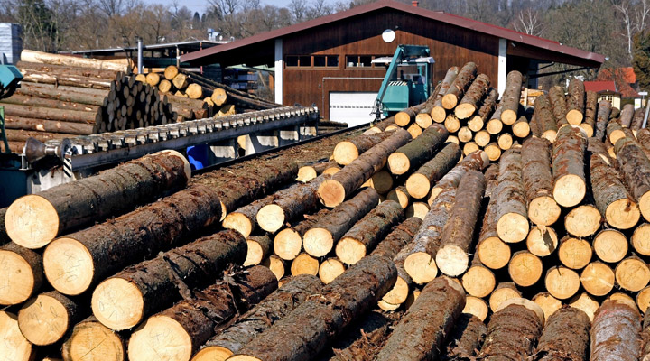 The Growing Importance of Lumber Wholesale in Canada