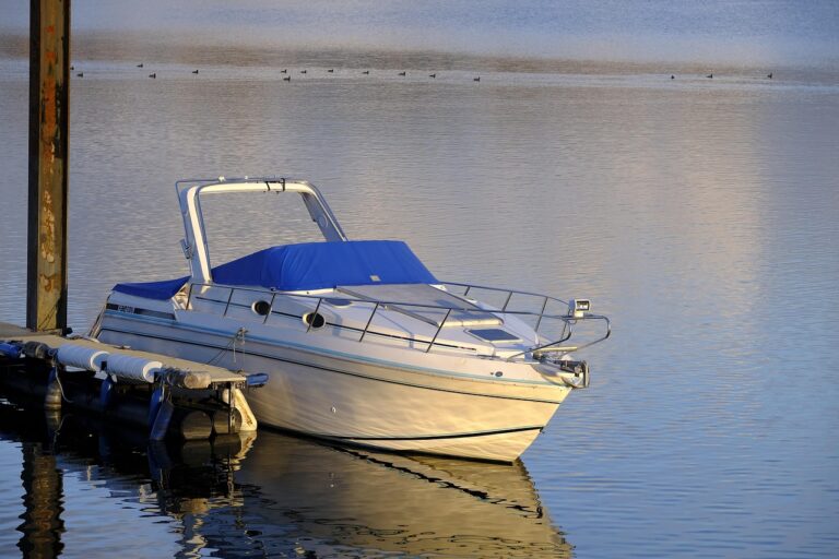 The Convenience of a Boat’s Portable Engine