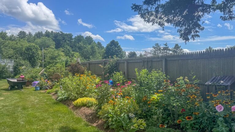 Landscaping Kitchener: What You Need to Know