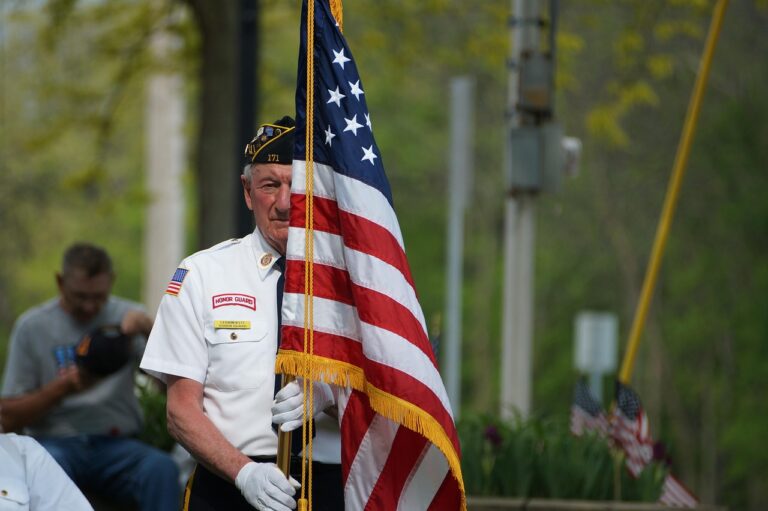 Celebrating Our Heroes: Activities to Help Our Veterans