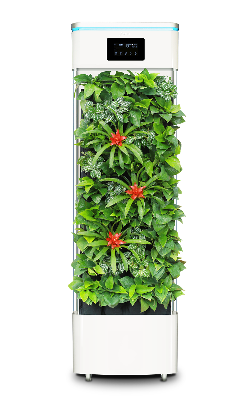 smart-plant-purifier-2397586_1280
