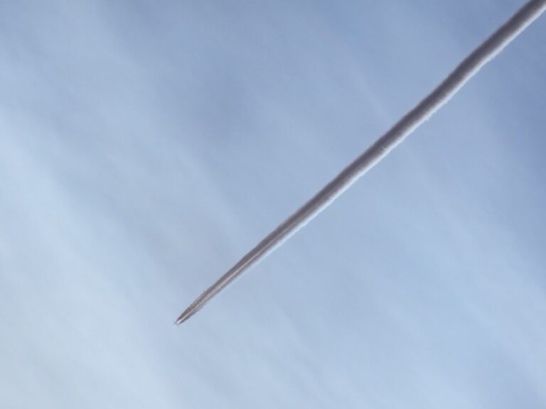 A thin, sharp needle against a soft blue background